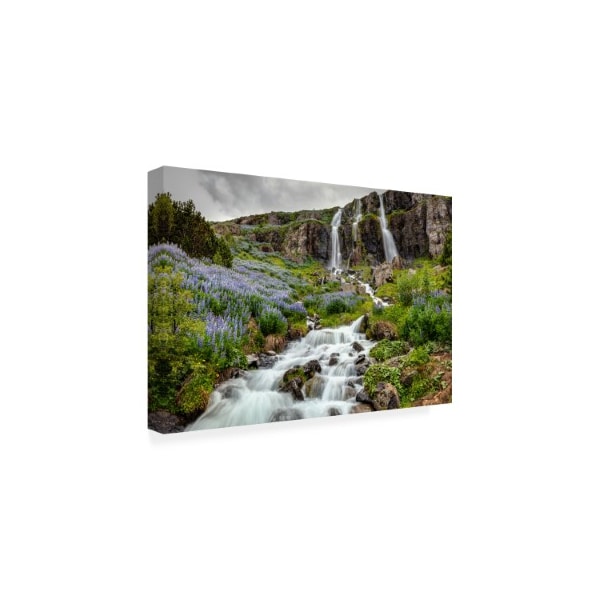 Pierre Leclerc 'Seydidfjordur Waterfall' Canvas Art,22x32